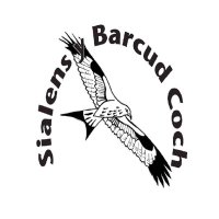 Sialens Y Barcud Coch(@RasyBarcud) 's Twitter Profile Photo