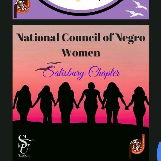 We strive to lead, develop & advocate for women of African descent through our commitment, unity and self-reliance 💜🧡 IG: @salisburyncnw