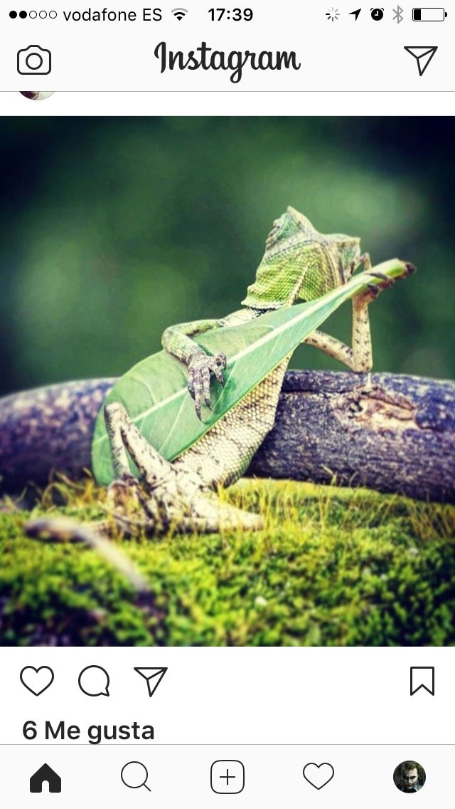 maggimhd's profile picture. 