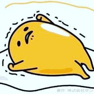 n_nnicola's profile picture. 