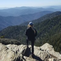 rachel (@_illuminotte_) 's Twitter Profile