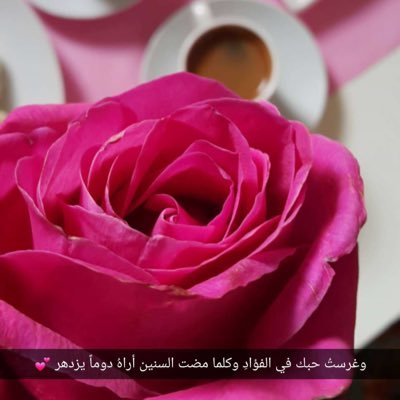 أنثروا البهَجة في الطُرقَات ، لعلكُم تحيون قَلباً ماتت فيه الأمّنيات🕊💕.