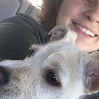 Kiley (@kiley160448) 's Twitter Profile