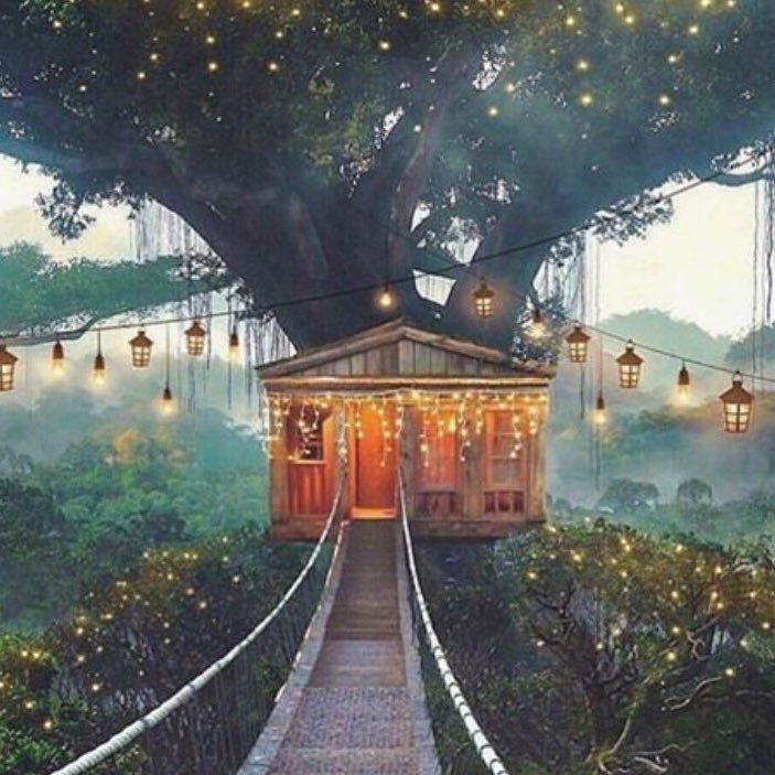 Debora87783964's profile picture. 