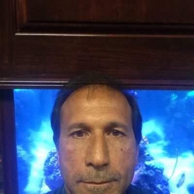 salih_m's profile picture. 