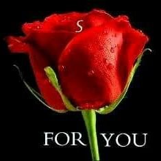 KicchaYallu's profile picture. Bass