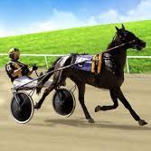 Australian Harness Racing Tips