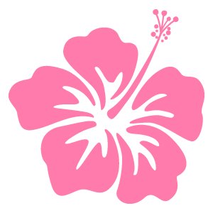 media_sys's profile picture. 欲望のグルメ✨
日々美味しいお店を探索中