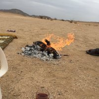 تويتري (@ab11221122ab) 's Twitter Profile