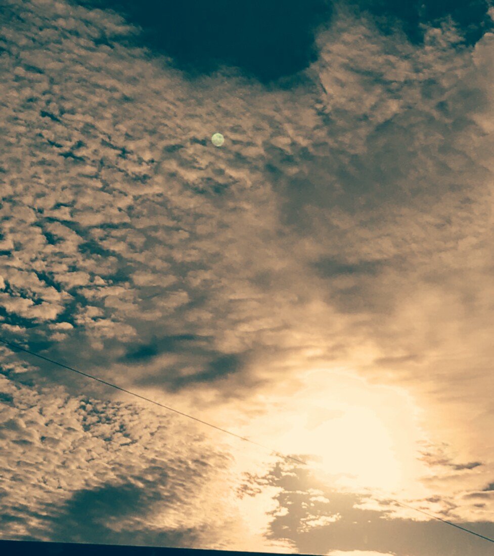 yqRXOsK9WJ5IyBU's profile picture. 