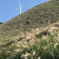 星 流星  Capricorn (@ueenvfirwtna3nc) Twitter profile photo