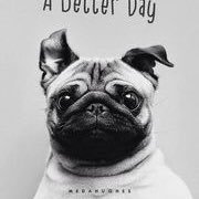 ryoutsrooo0808's profile picture. 