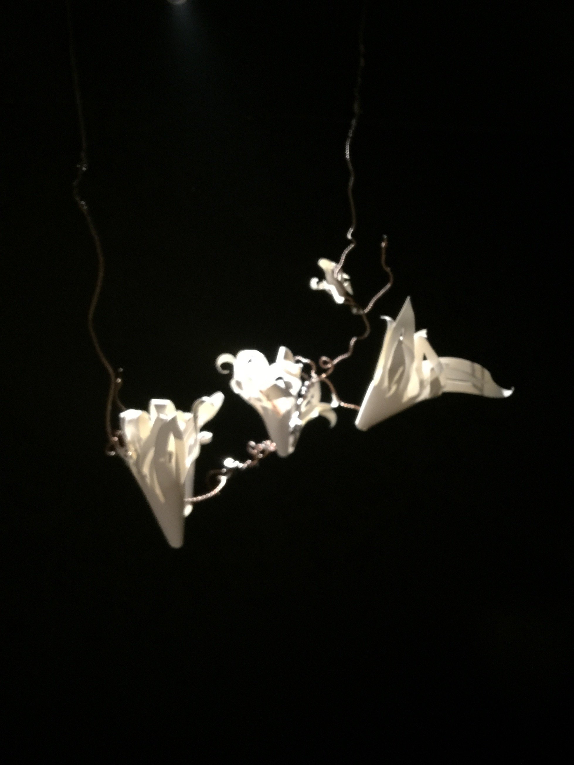 halimevelyn's profile picture. 