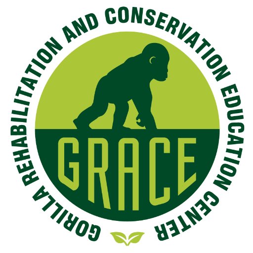 GRACEgorillas Profile Picture