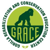 GRACE Gorillas (@gracegorillas) 's Twitter Profile