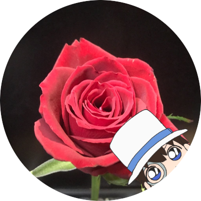 なつらい 夏来 On Twitter Szkさん 素敵です 3枚目の1コマ目の怪盗の 頼りない表情がたまらんです