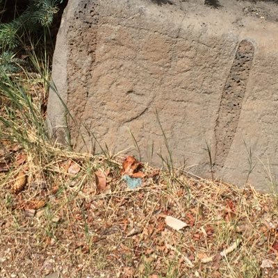 kwjarocki's profile picture. 