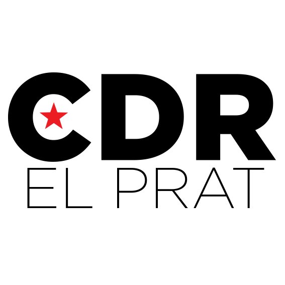 Comitè de defensa de la República i el Procés Constituent