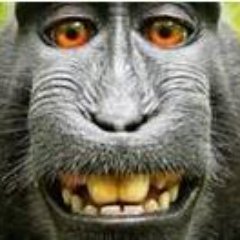 Larcsetay's profile picture. 