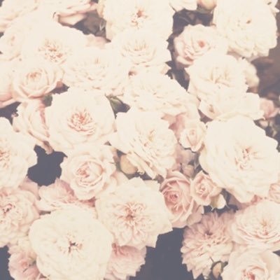 theresascheff24's profile picture. I love playing soccer and watching Netflix