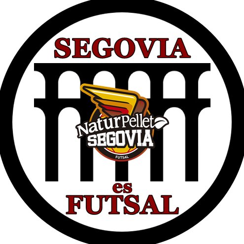 SEGOVIA es FUTSAL Profile