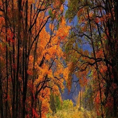 E_Krasnikov's profile picture. 