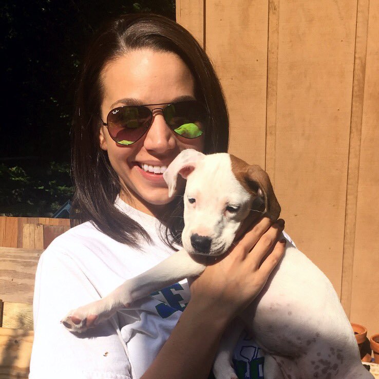 kthorlacher's profile picture. James Madison University