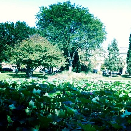 lissiefawn's profile picture. Nature lover. Outdoors. Pop Culture, TV, Movies and fashion. And history. I like a lot of things.