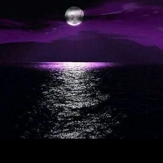 yosev65's profile picture. ‏💕اشتاق لك بصمت فهل يصلك حديثي 💕