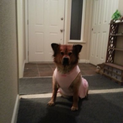 Alexandtablanc1's profile picture. You only have one life, if you don't enjoy it who will?  Buttons (my BFF) and I live by that motto
