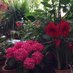 Fher nan (@plazadelobispo5) Twitter profile photo Fher nan (@plazadelobispo5) Twitter profile photo
