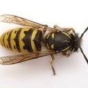 Dan Minton - @DanHMinton - Twitter