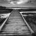 This Dock is Haunted (@jellyfishfights) Twitter profile photo This Dock is Haunted (@jellyfishfights) Twitter profile photo