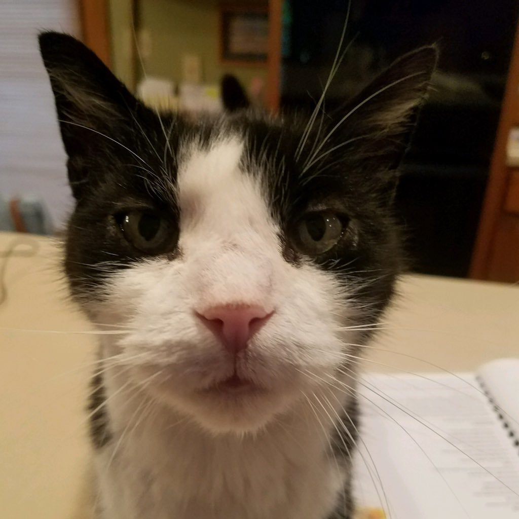 Sophaloaf77's profile picture. 