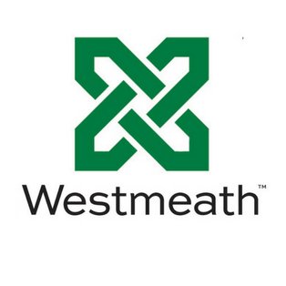 WestmeathComms's profile picture. Business Communications | Fortune 500 Consultants | Plans, Messaging, Campaigns | Experts to Drive Business Initiatives | Communications Strategy | #Netsortium