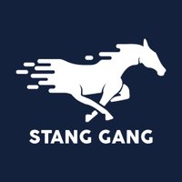 Stang Gang(@MUSTANGNATION_) 's Twitter Profile Photo