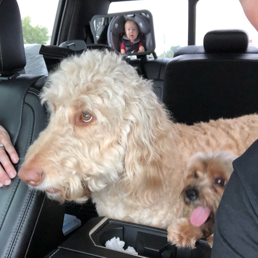 RKubala's profile picture. 