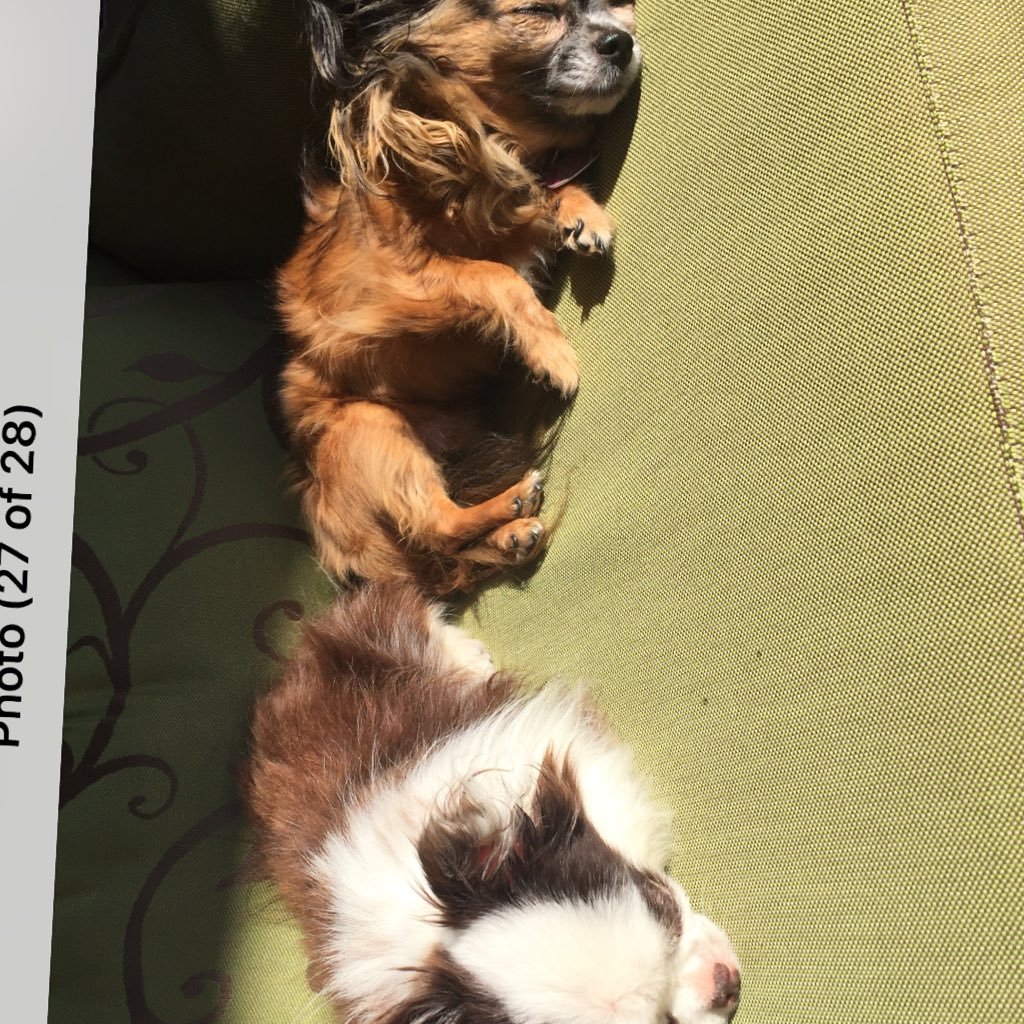 chloewinston14's profile picture. 