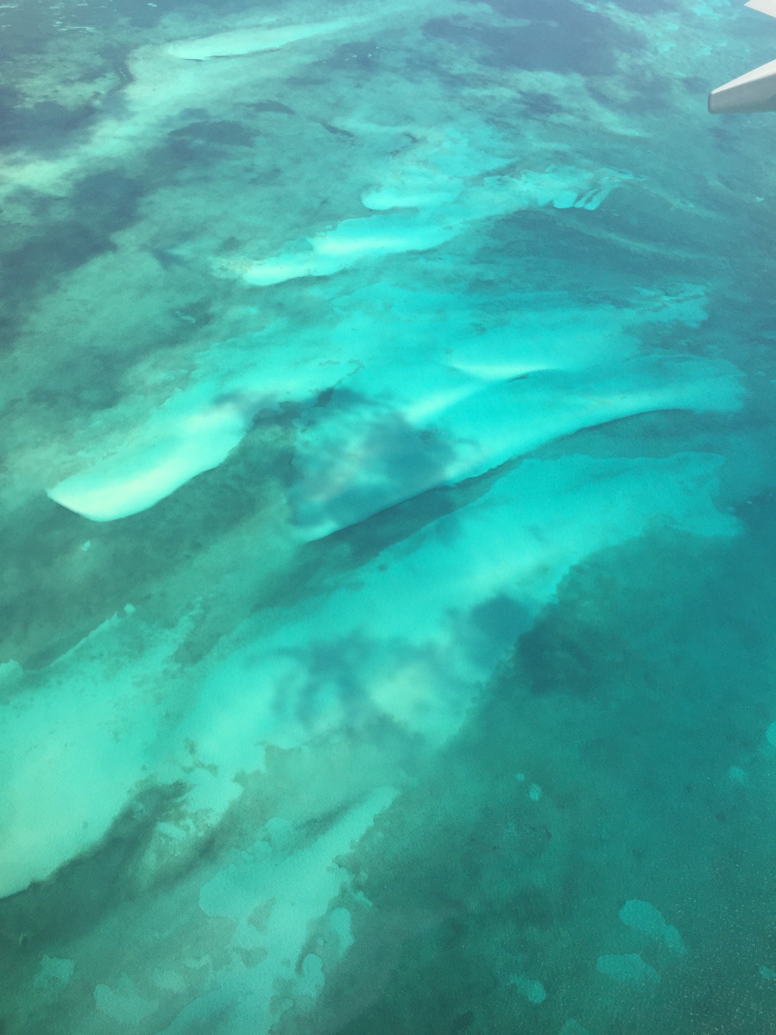 britneyHEISE's profile picture. Finally found myself