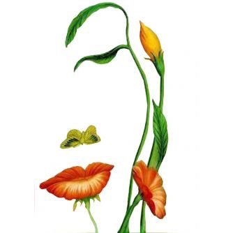 strawberelie's profile picture. angel 😇 in disguise ... LOL