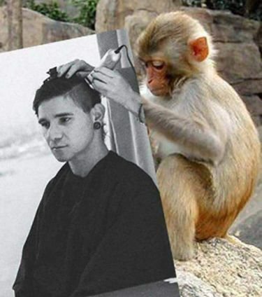 gautam_apurv's profile picture. #flamecasearmy