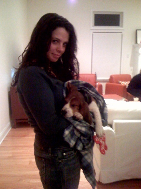 amq382's profile picture. NYU Doctoral Student | Assistant Principal NYCDOE | Former MFA teaching fellow