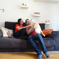 Podcast Del Sofá a la Cocina (@delsofapodcast) 's Twitter Profile