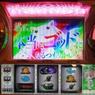 14PaMbPnATVm8Lw's profile picture. パチンカスな21歳