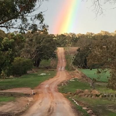 kentstone85's profile picture. 