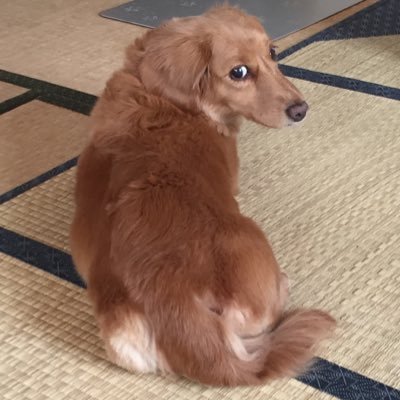 kkskaohs's profile picture. 内川幸太郎p/鈴木優p/コブクロ(小渕さん寄り)/ポルノグラフィティ(晴一さん寄り)/TEAM NACS(子残念な子猫)/ゴスペラーズ(2スペ推しのキタマニ)/カプリティオ ／無言フォローへのフォロバは面識のある方のみ！