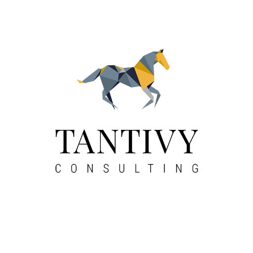 Providing consulting, software and services to enhance cyber resilience #cyberresilience #antiphishing #cyber #informationsecurity #dataprivacy #TantivyUK