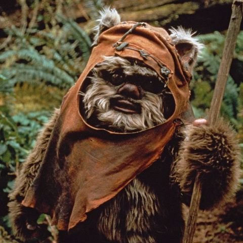 brianrdhamm's profile picture. Film buff and political nerd. Vote Democrat.