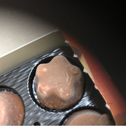 NvFicg2YuHuTyCc's profile picture. 今からユーチューバーになります ヒカキンは超えられないですがよろしくです 相方の卍ガムとハンバーグ師匠とラジオ放送するんで、面白かったら動画もアップしていきます みんなフォローして下さい フォローしてくれたらピノあげます