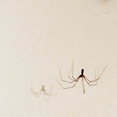 Lluis7soler's profile picture. Bomber de Barcelona estudiant humanitats.